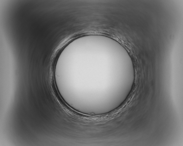 X0000116840005200912181123