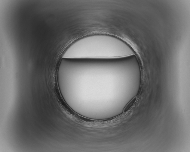 X0000116840009200912181123