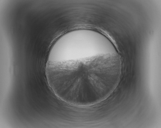 X0000116840010200912181123