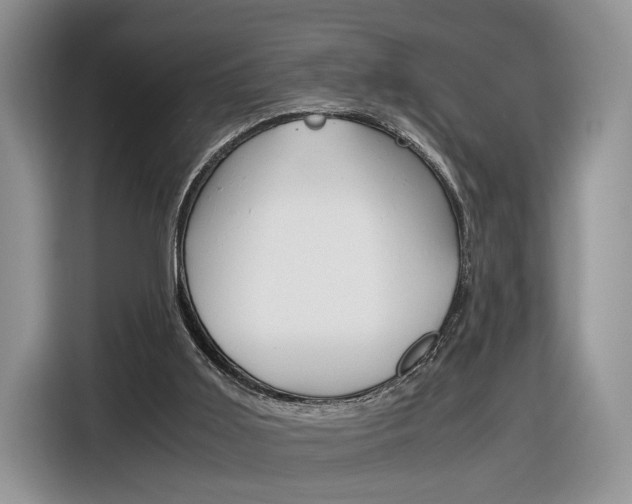 X0000116840011200912181123