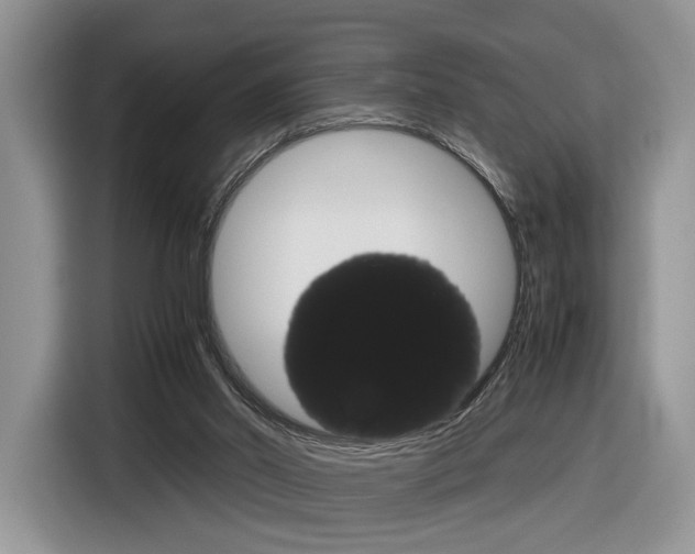 X0000116840014200912181123