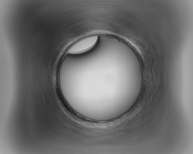 X0000116840015200912181123