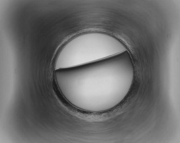 X0000116840016200912181123