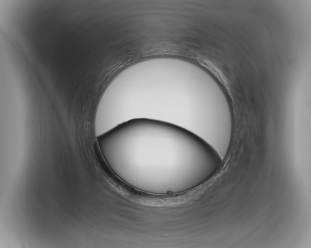X0000116840017200912181123