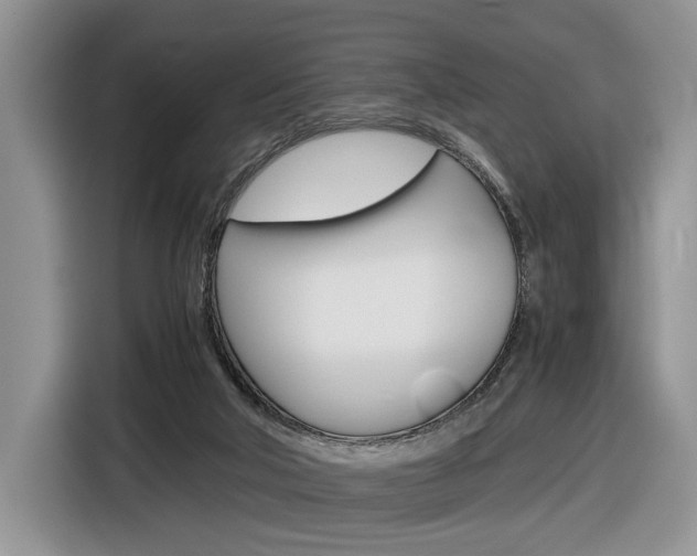 X0000116840018200912181123