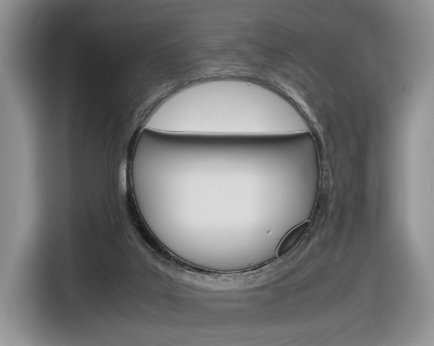 X0000116840019200912181123