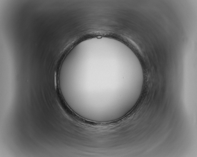 X0000116840020200912181123