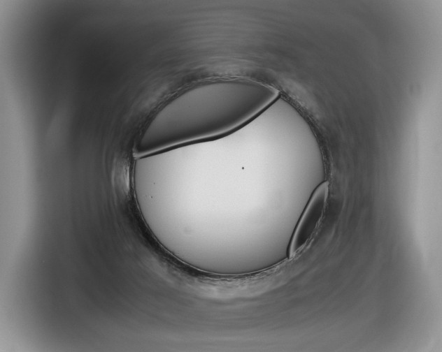 X0000116840021200912181123