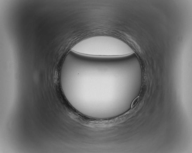 X0000116840025200912181123