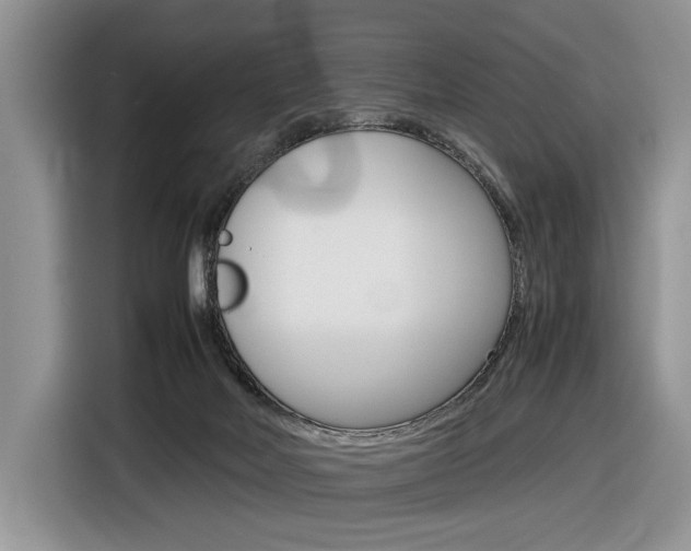 X0000116840026200912181123