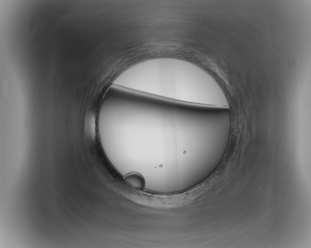 X0000116840027200912181123