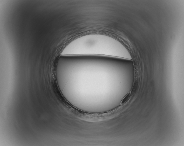 X0000116840029200912181123