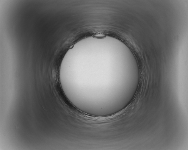 X0000116840031200912181123