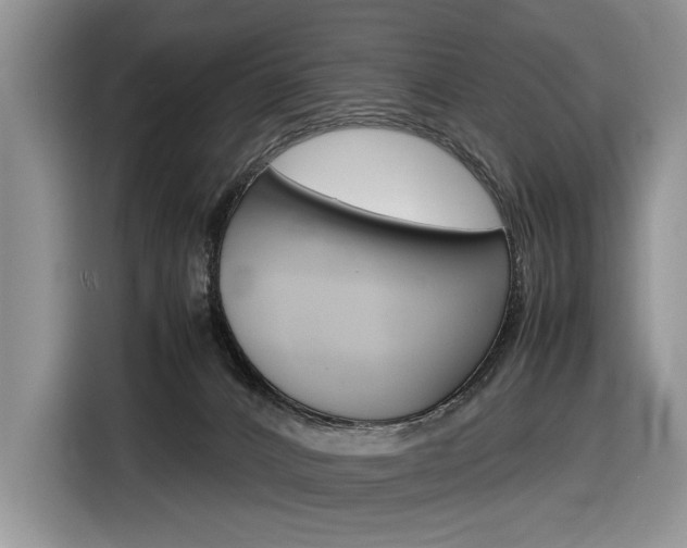 X0000116840032200912181123