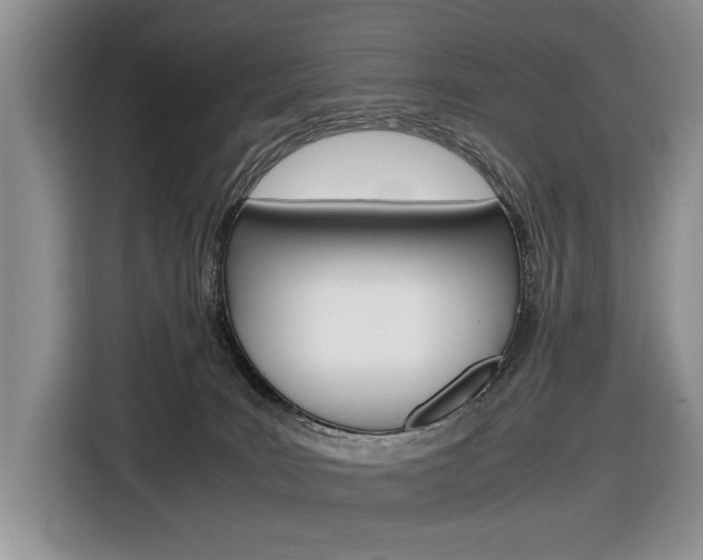 X0000116840035200912181123