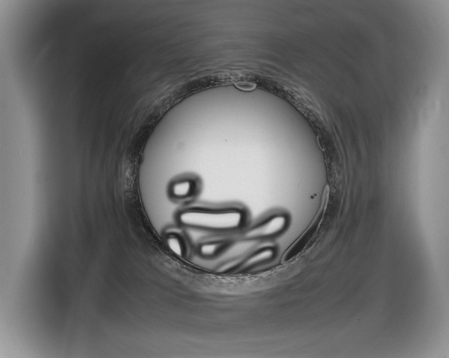 X0000116840037200912181123
