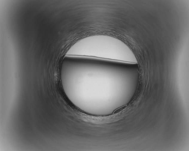 X0000116840039200912181123