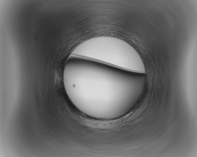 X0000116840040200912181123