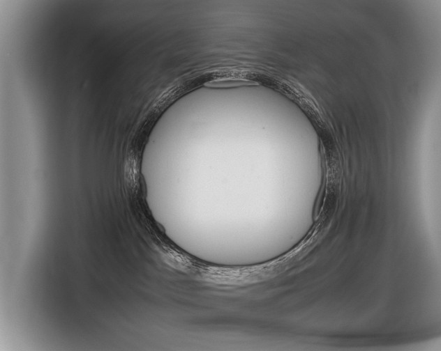 X0000116840045200912181123