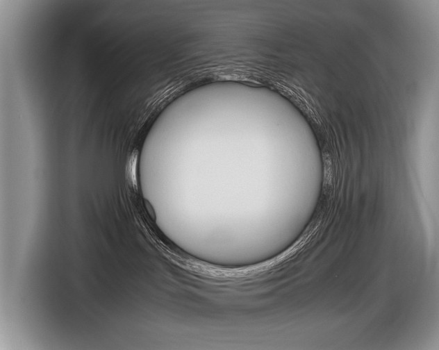 X0000116840047200912181123