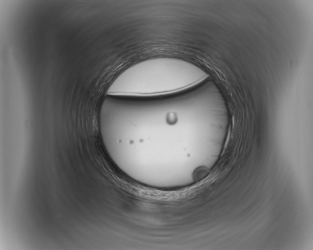 X0000116840048200912181123