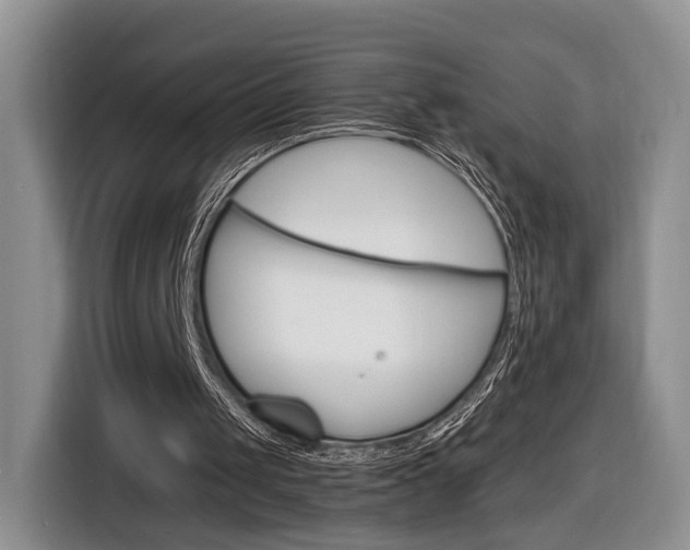 X0000116840049200912181122