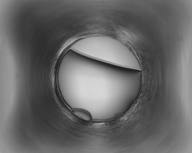 X0000116840054200912181122
