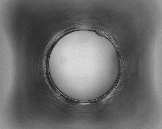 X0000116840055200912181122