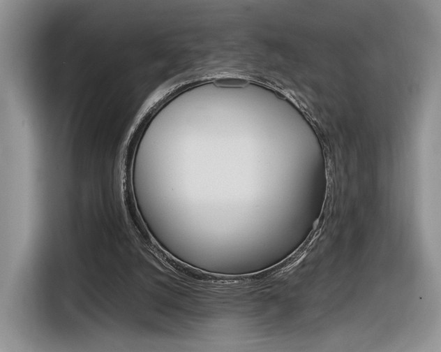 X0000116840056200912181122