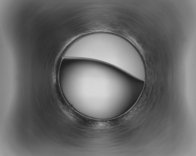 X0000116840060200912181122