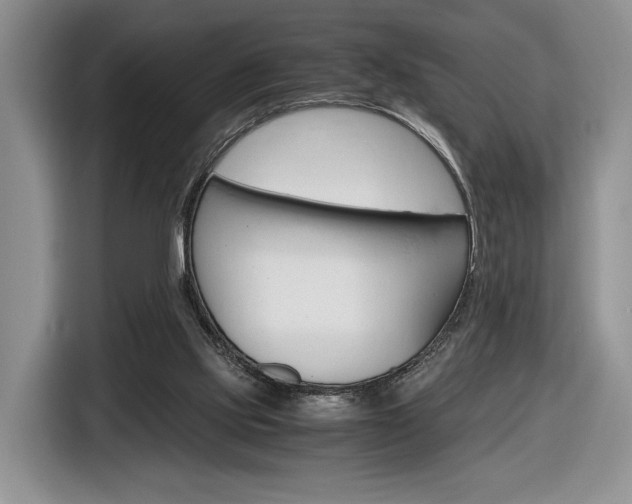 X0000116840061200912181122