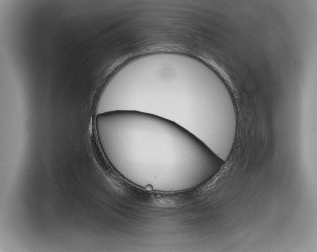 X0000116840062200912181122