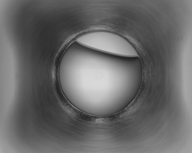 X0000116840064200912181122