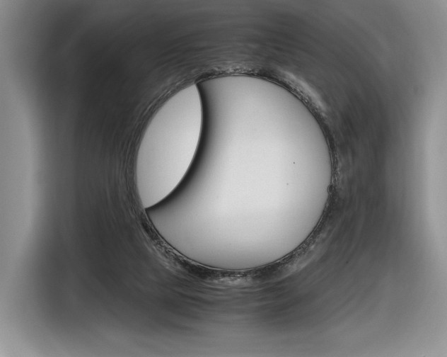 X0000116840065200912181122