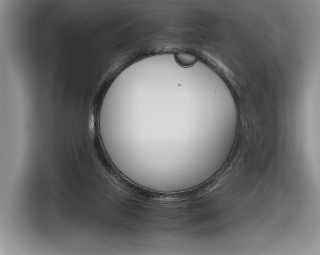 X0000116840067200912181123