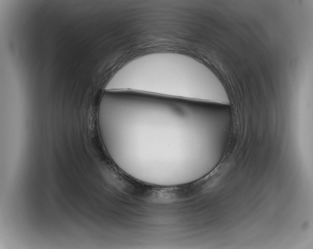 X0000116840078200912181123