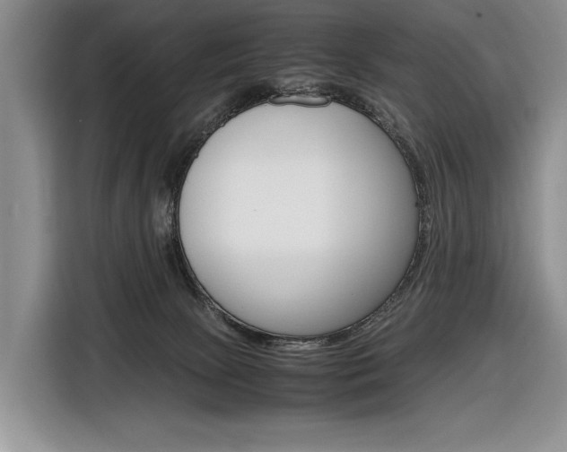 X0000116840081200912181123
