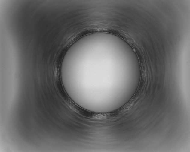 X0000116840084200912181123