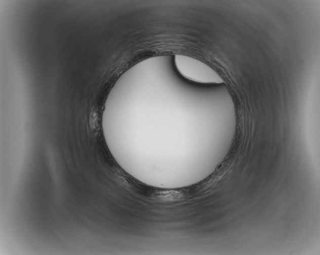 X0000116840087200912181123