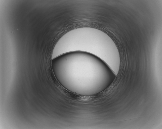 X0000116840088200912181123