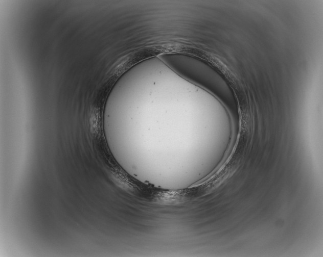 X0000116840092200912181123