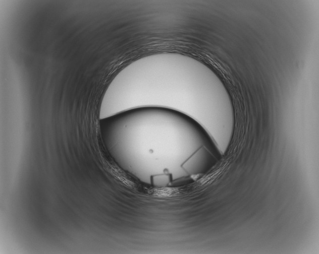 X0000116840096200912181123