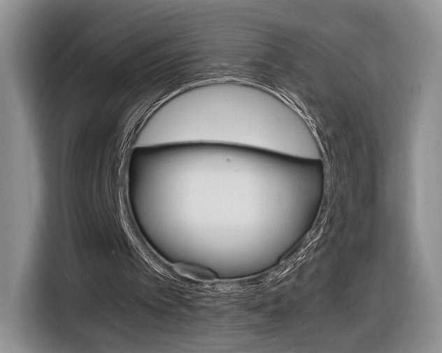 X0000116840097200912181122