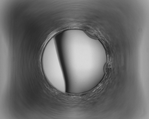 X0000116840099200912181122