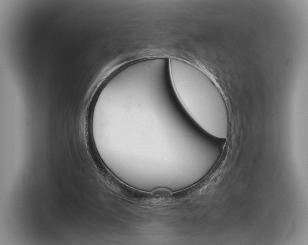 X0000116840103200912181122