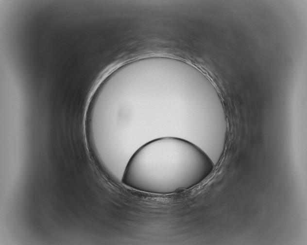 X0000116840104200912181122