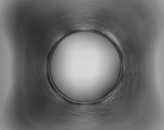 X0000116840105200912181122