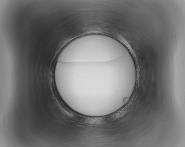 X0000116840106200912181122