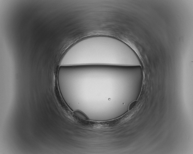X0000116840109200912181122