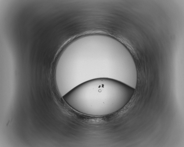 X0000116840112200912181122